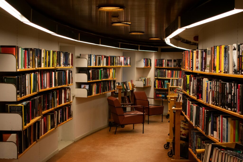 pexels-photo-2041540-2041540 Chair Beside Book Shelves